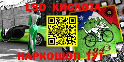 стаф Гатчина