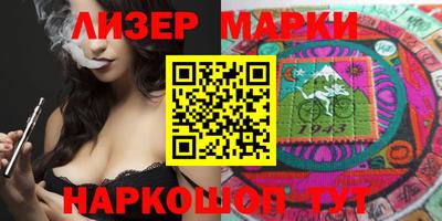 стаф Гатчина