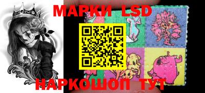 стаф Гатчина