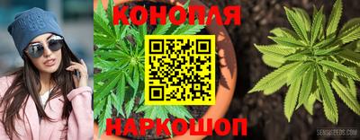 стаф Гатчина