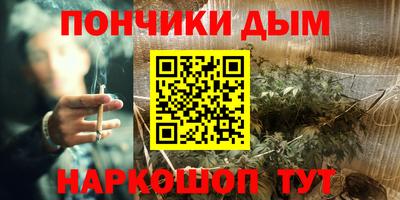 стаф Гатчина