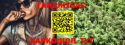 стаф Гатчина