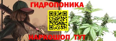 прущие крисы Волгодонск