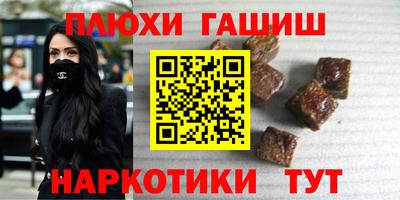 стаф Гатчина