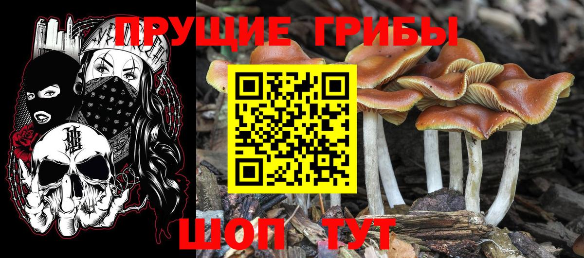 Галлюциногенные грибы мухоморы  Вход с VPN  Грязи 