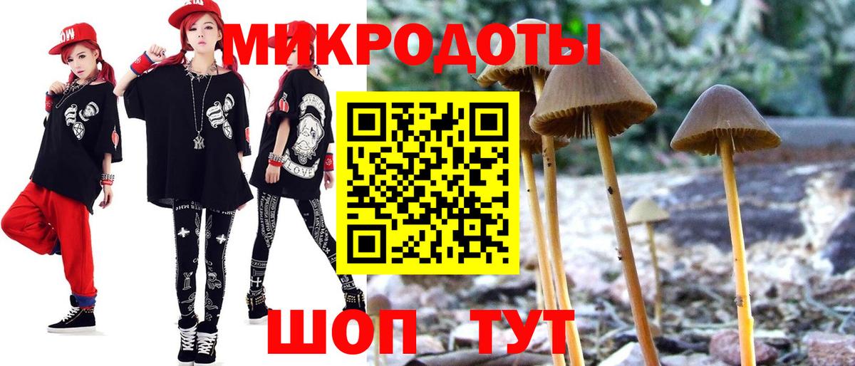 Галлюциногенные грибы мухоморы Грязи